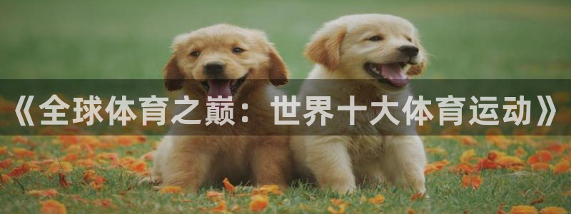 MK体育官网下载招商电话是多少啊：《全球体育之巅：世