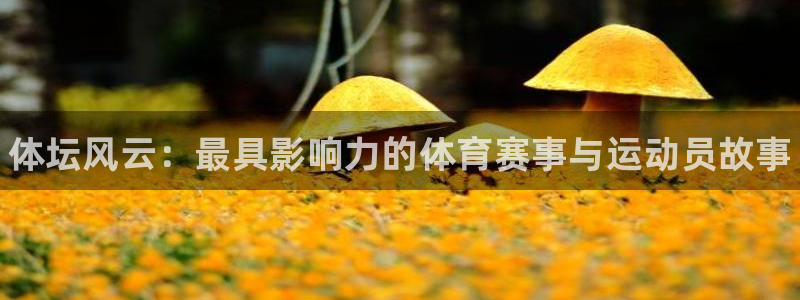MK体育官网下载平台是正规平台吗安全吗：体坛风云：最
