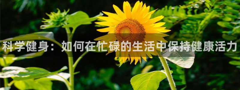 MK体育官网下载招商电话：科学健身：如何在忙碌的生活中保持健