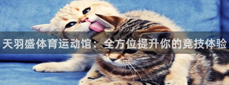 MK体育官网下载招商电话号码：天羽盛体育运动馆：全方