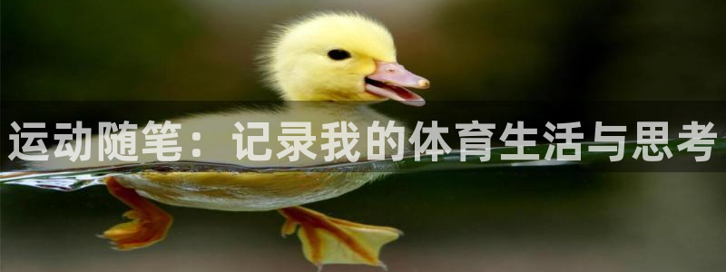 MK体育官方正版app娱乐网站：运动随笔：记录我的体育生活与