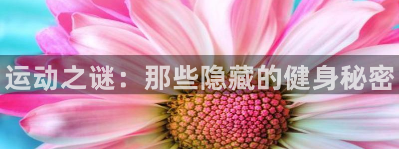 MK体育官网下载平台注册要钱吗：运动之谜：那些隐藏的健身秘密