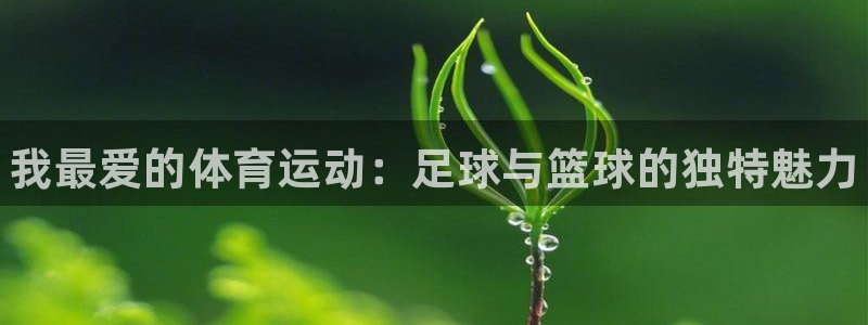 MK体育官方正版app娱乐是那个系列的台子：我最爱的体育运动