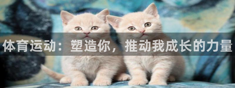 MK体育官网下载平台假的吗是真的吗吗：体育运动：塑造