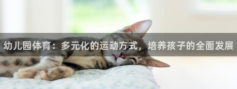注册MK体育官方正版app：幼儿园体育：多元化的运动方式，培