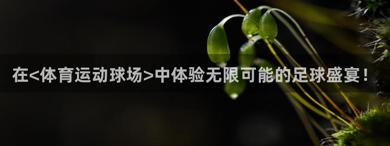 MK体育官网下载招商电话号码：在<体育运动球场>中体