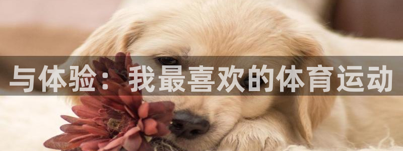MK体育官网下载是干嘛的公司：与体验：我最喜欢的体育