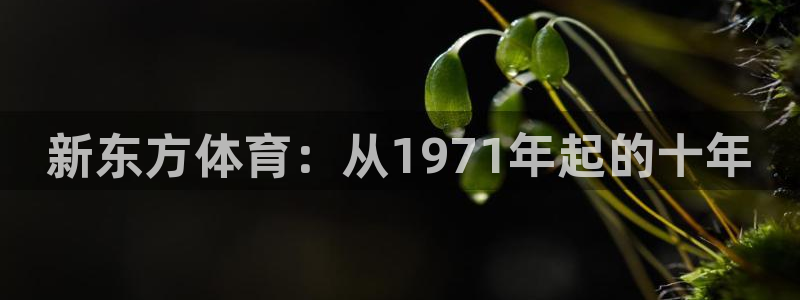 MK体育官方正版app娱乐代理怎么样：新东方体育：从