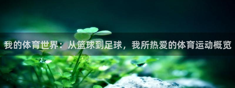 MK体育官网下载软件：我的体育世界：从篮球到足球，我