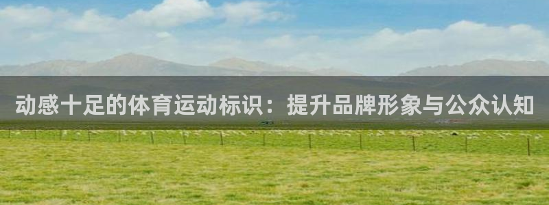 MK体育官方正版app娱乐首页网站大全：动感十足的体育运动标