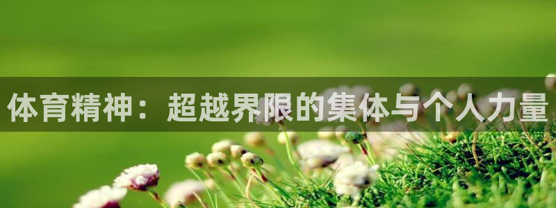 MK体育官方正版app集团E.ON：体育精神：超越界限的集体