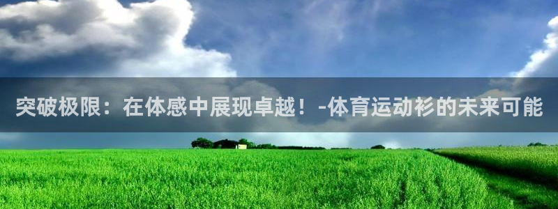 MK体育官方集团官网：突破极限：在体感中展现卓越！-