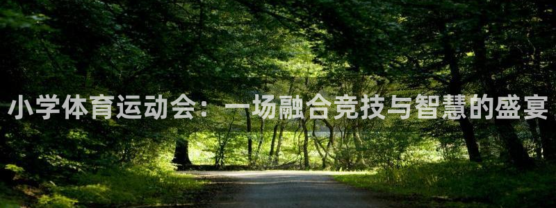 MK体育官方平台体育：小学体育运动会：一场融合竞技与