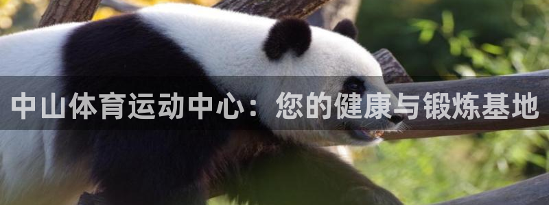 MK体育官方正版app代理：中山体育运动中心：您的健康与锻炼