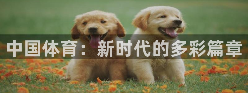 MK体育官方正版app娱乐首页网站大全：中国体育：新时代的多