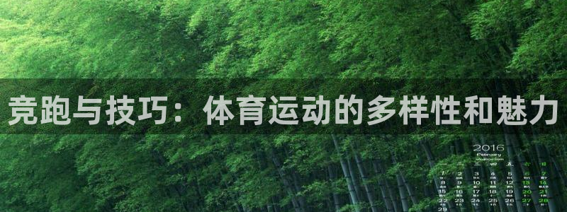 MK体育官方平台体育