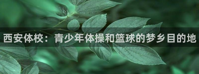 MK体育官网下载是干嘛的公司